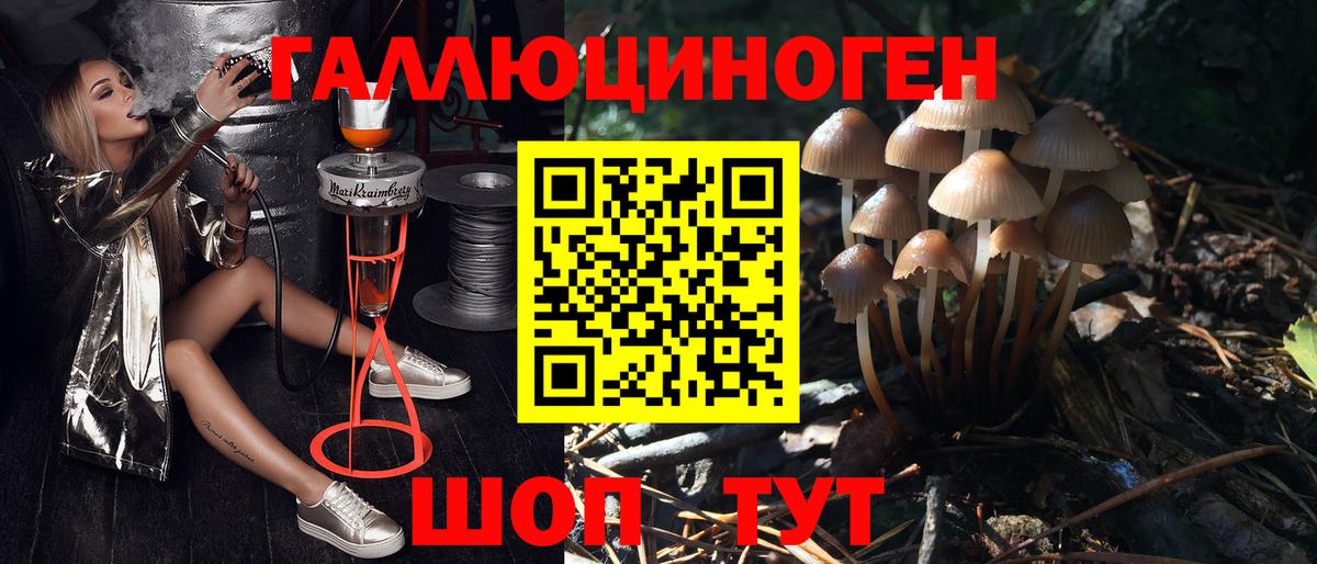Псилоцибиновые грибы мицелий Усть-Илимск