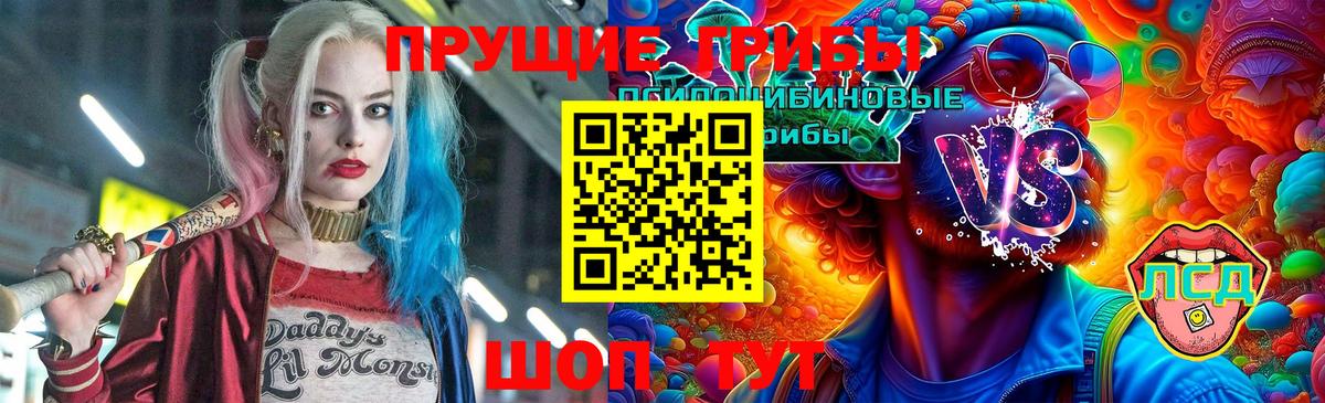 Усть-Илимск  Псилоцибиновые грибы Cubensis  Вход с VPN 